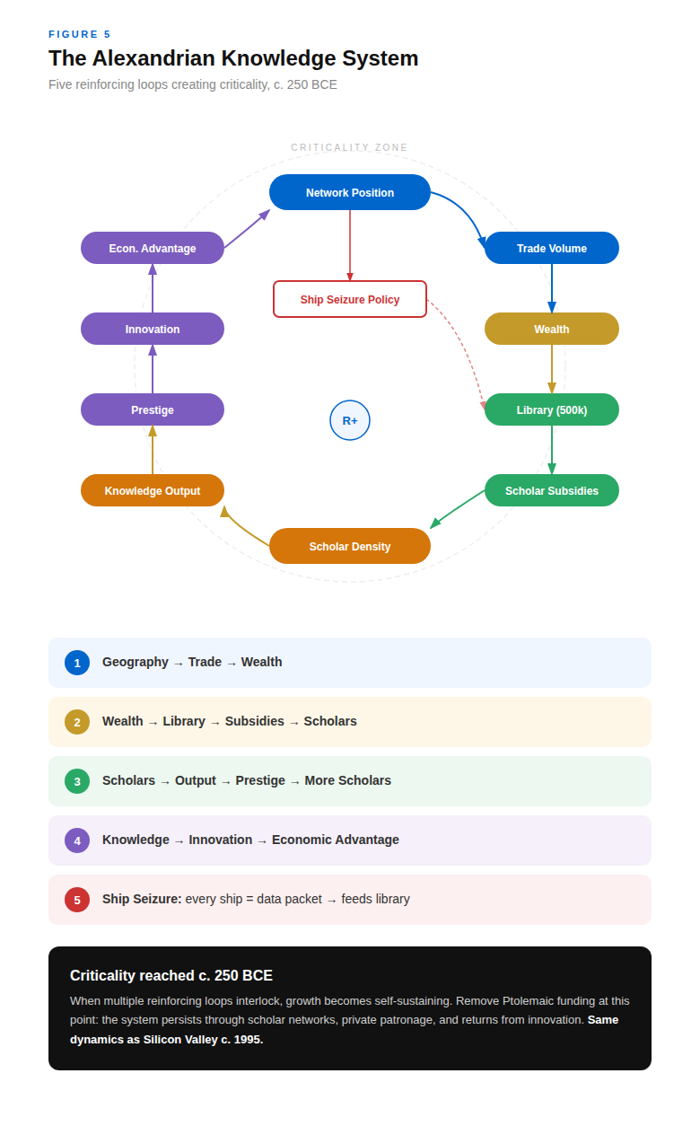 Figure 5: The Alexandrian Knowledge System. Five reinforcing loops creating criticality c. 250 BCE, showing Network Position, Trade Volume, Wealth, Library, Scholar Subsidies, Scholar Density, Knowledge Output, Innovation, Economic Advantage, and Prestige in interconnected feedback loops with Ship Seizure Policy.